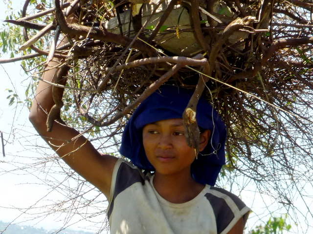 jeune fille descendant le bois récolté sur le sommet jusqu' à la maison le village Atalata 5 km