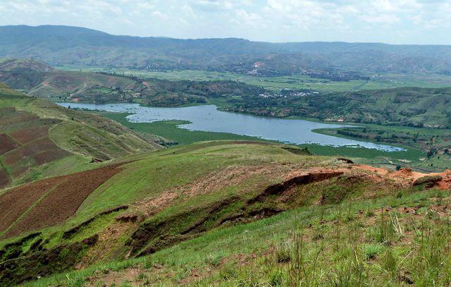 lac Mandekita, les rizières d' Ifanga