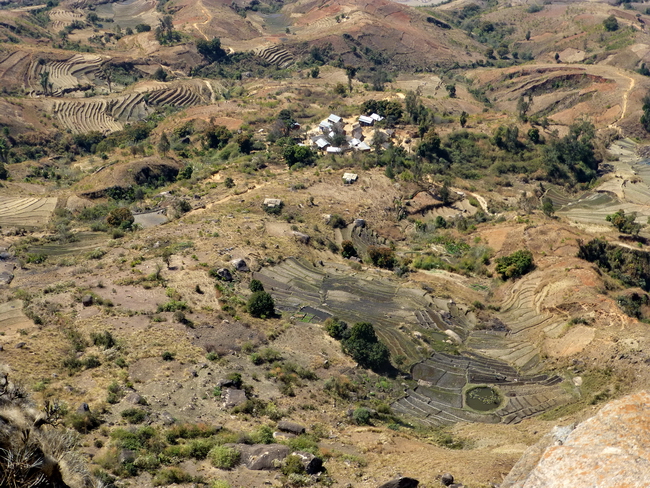 village d' Anosiarivo et ses rizières 