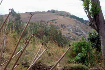 Amboatany massif du Mangabe