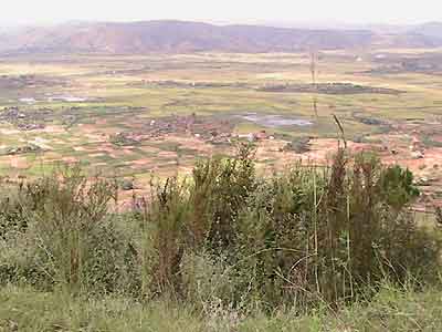 ambohijoky:1519 m la plus élevée des collines sacrées