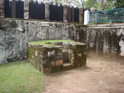 parc à zébus