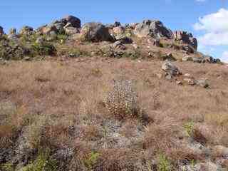 Ambohitrondrana nombreux vestiges de murailles