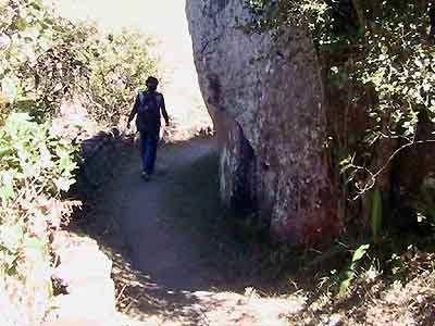 all&eacute;e