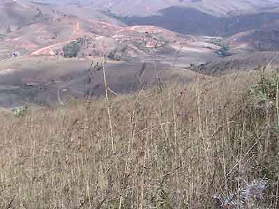 Quelques prises de vue sur les hauts de Kaloy