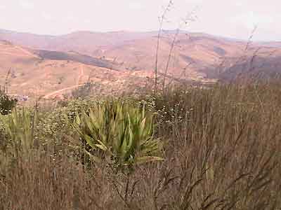 Quelques prises de vue sur les hauts de Kaloy