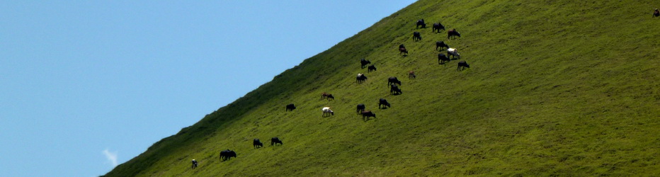 Massif Sambaina , Ambatomalaza