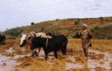 Photos Antsirabe Fianarantsoa