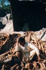 Photos Fort Dauphin manioc