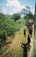 Train FCE Fianarantsoa Côte Est