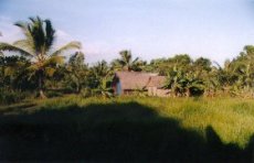 Photos Mananara