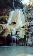 Piscine naturelle