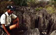 Guide dans les Tsingy