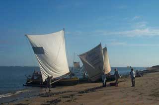 Galerie à theme : bateau,pirogue malgache 