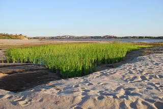 fleuves et lacs de Madagascar 