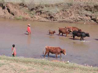 fleuves et lacs de Madagascar 