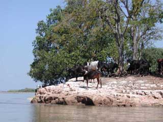 fleuves et lacs de Madagascar 