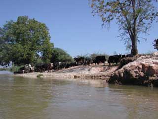 fleuves et lacs de Madagascar 