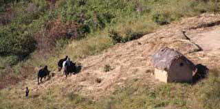 habitation de Madagascar 