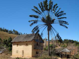 habitation de Madagascar 