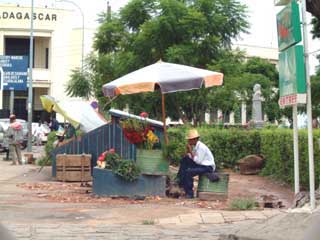 marchand de fleur