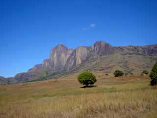 paysage de mada 