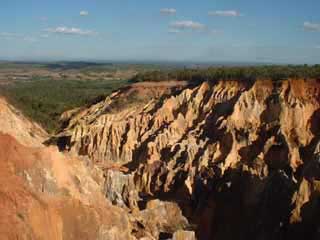 paysage de mada 