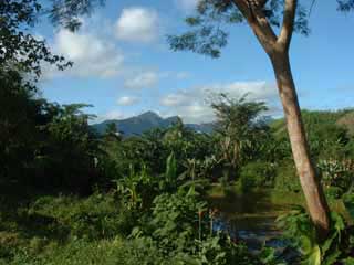 paysage de mada 