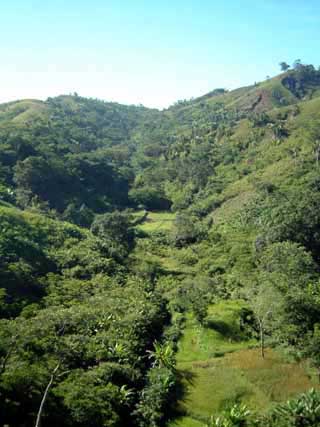 paysage de mada 