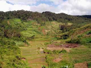 paysage de mada 