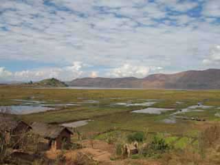 paysage de mada 