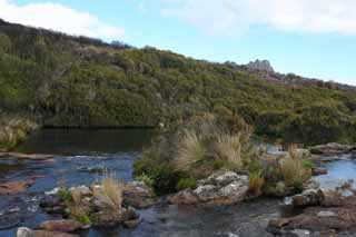 paysage de mada 