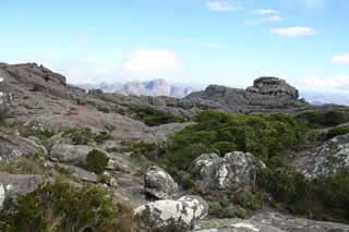 paysage de mada 