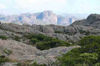 paysage de mada 