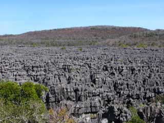 paysage de mada 