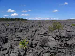 paysage de mada 