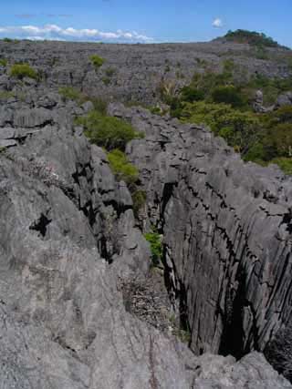 paysage de mada 