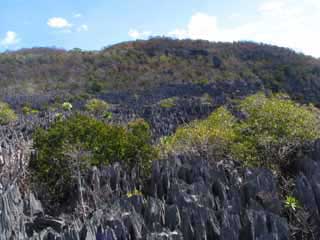 paysage de mada 