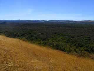 paysage de mada 