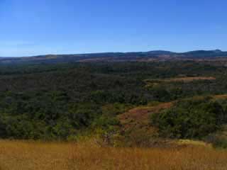 paysage de mada 