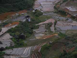 paysage de mada 