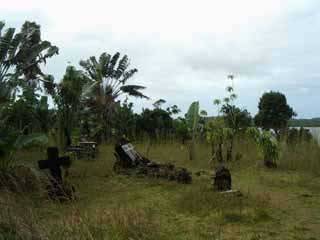 paysage de mada 