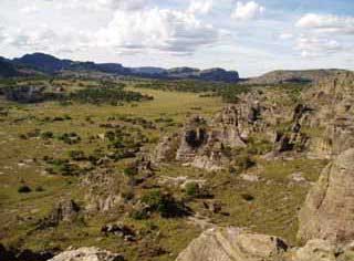 paysage de mada 