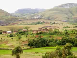 paysage de mada 