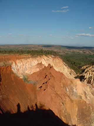 paysage de mada 