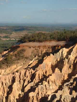 paysage de mada 