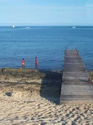 plages cocotiers sable chaud 