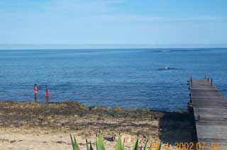 plages cocotiers sable chaud 