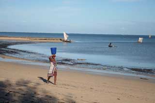 plages cocotiers sable chaud 