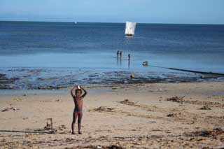 plages cocotiers sable chaud 